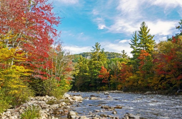 herbst am fluss - (c) r plock.jpg